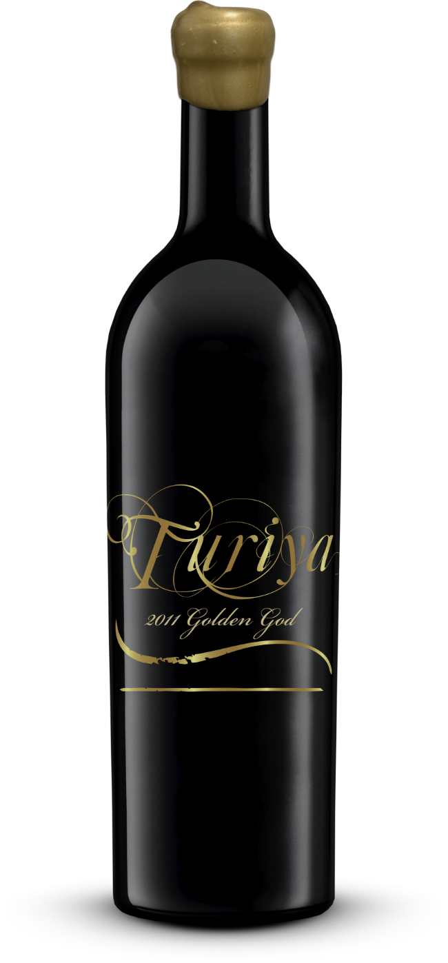 Turiya - 2011 Golden God.png