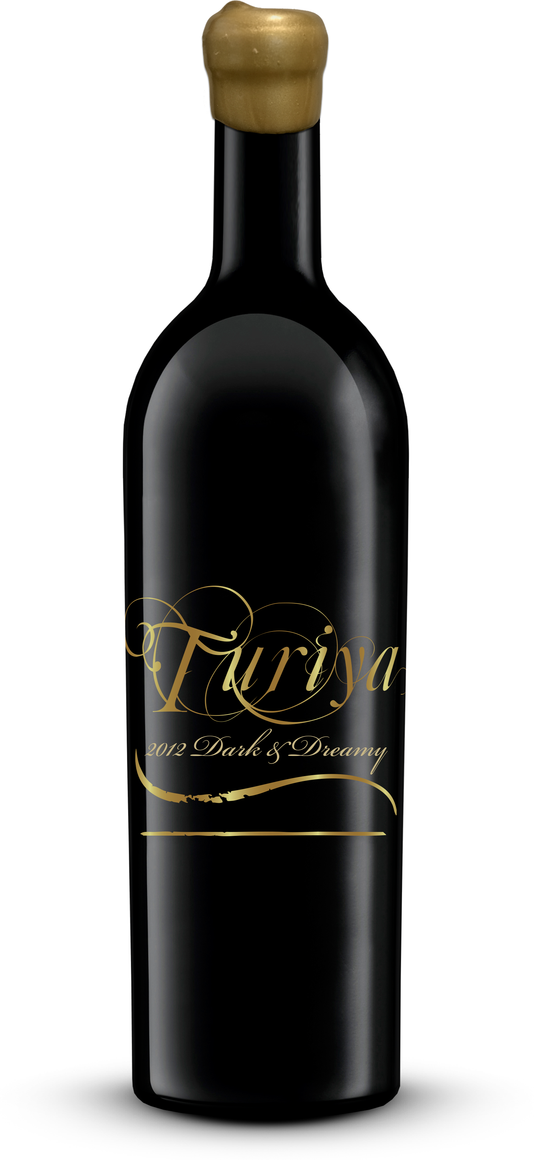 Turiya - 2012 Dark and Dreamy.png