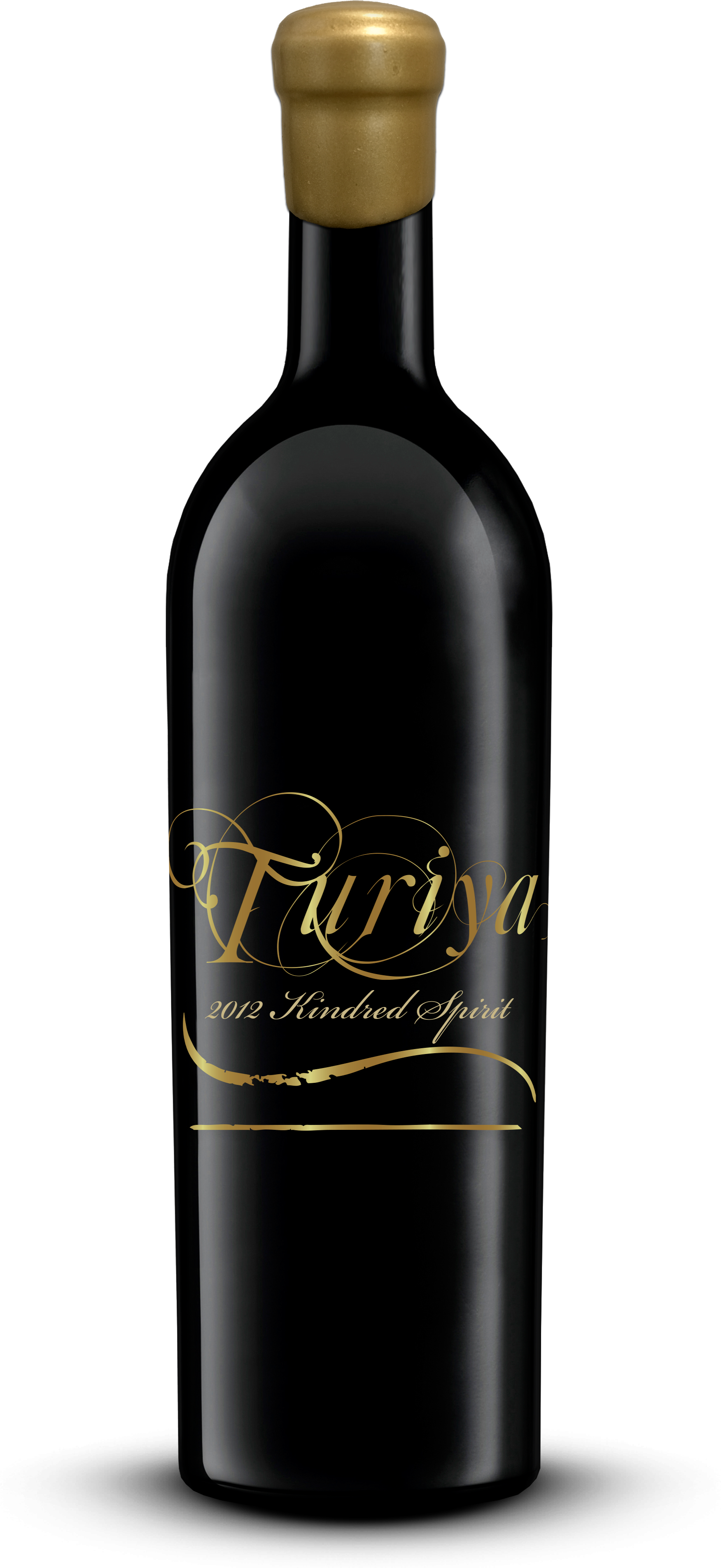 Turiya - 2012 Kindred Spirit.png