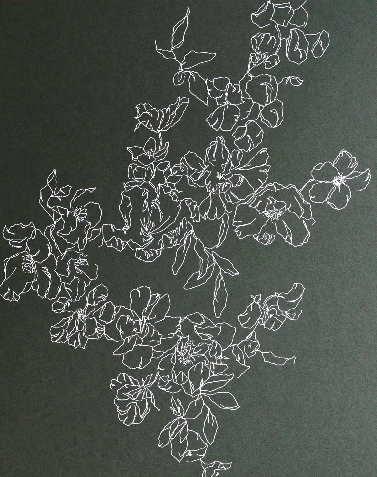 Botanical 1.jpg