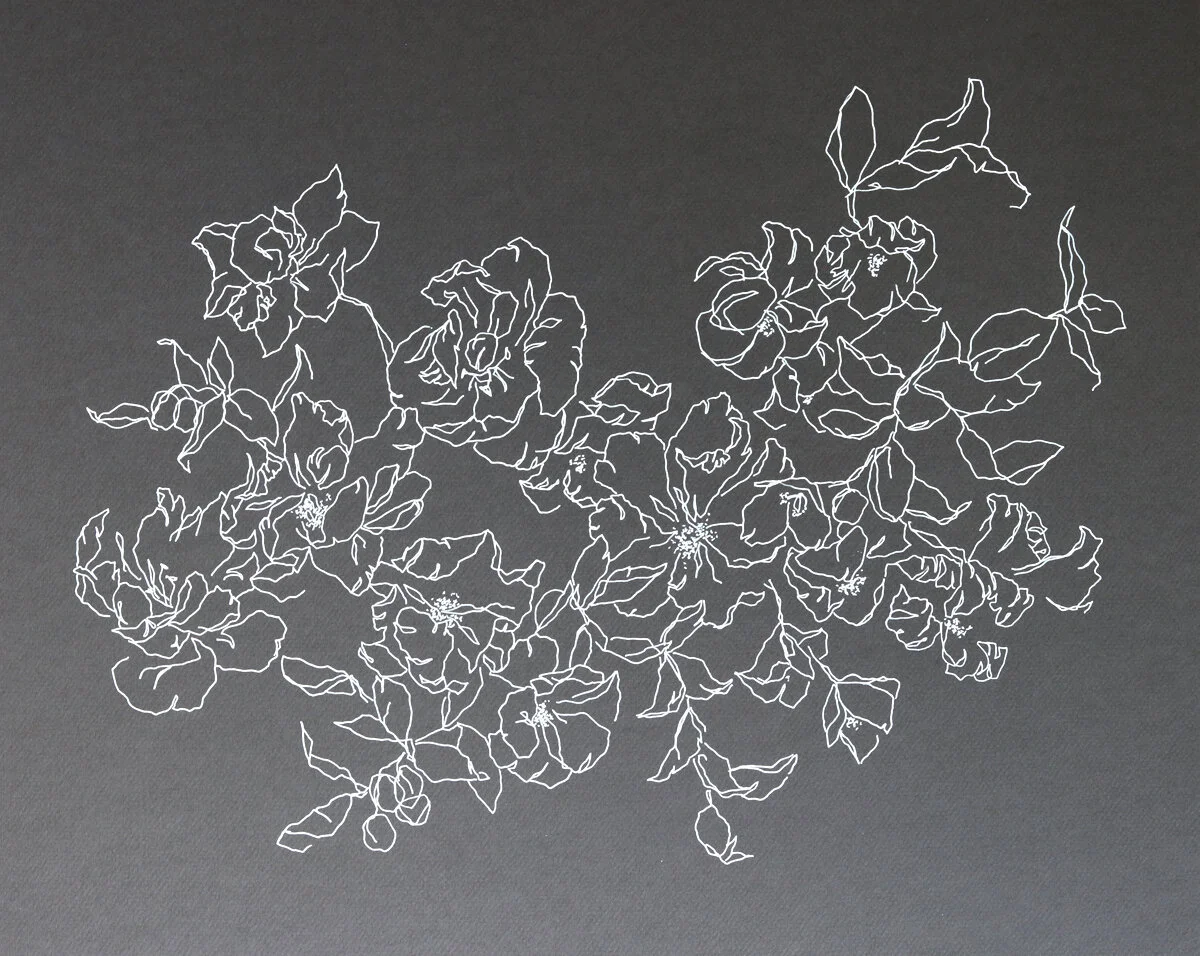 Botanical 6.jpg