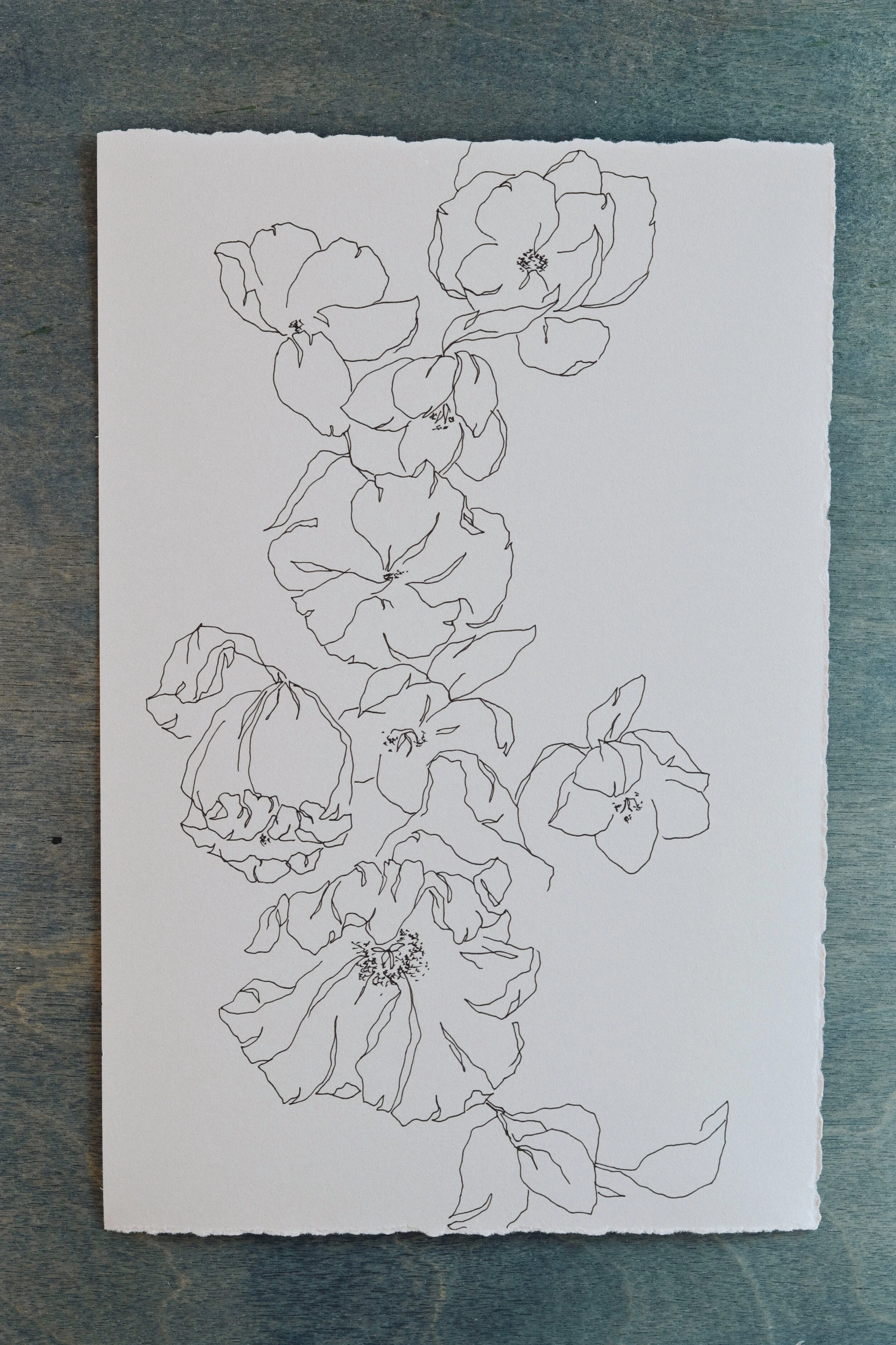 Meredith_Mejerle_Forever_Flowers 46.JPG