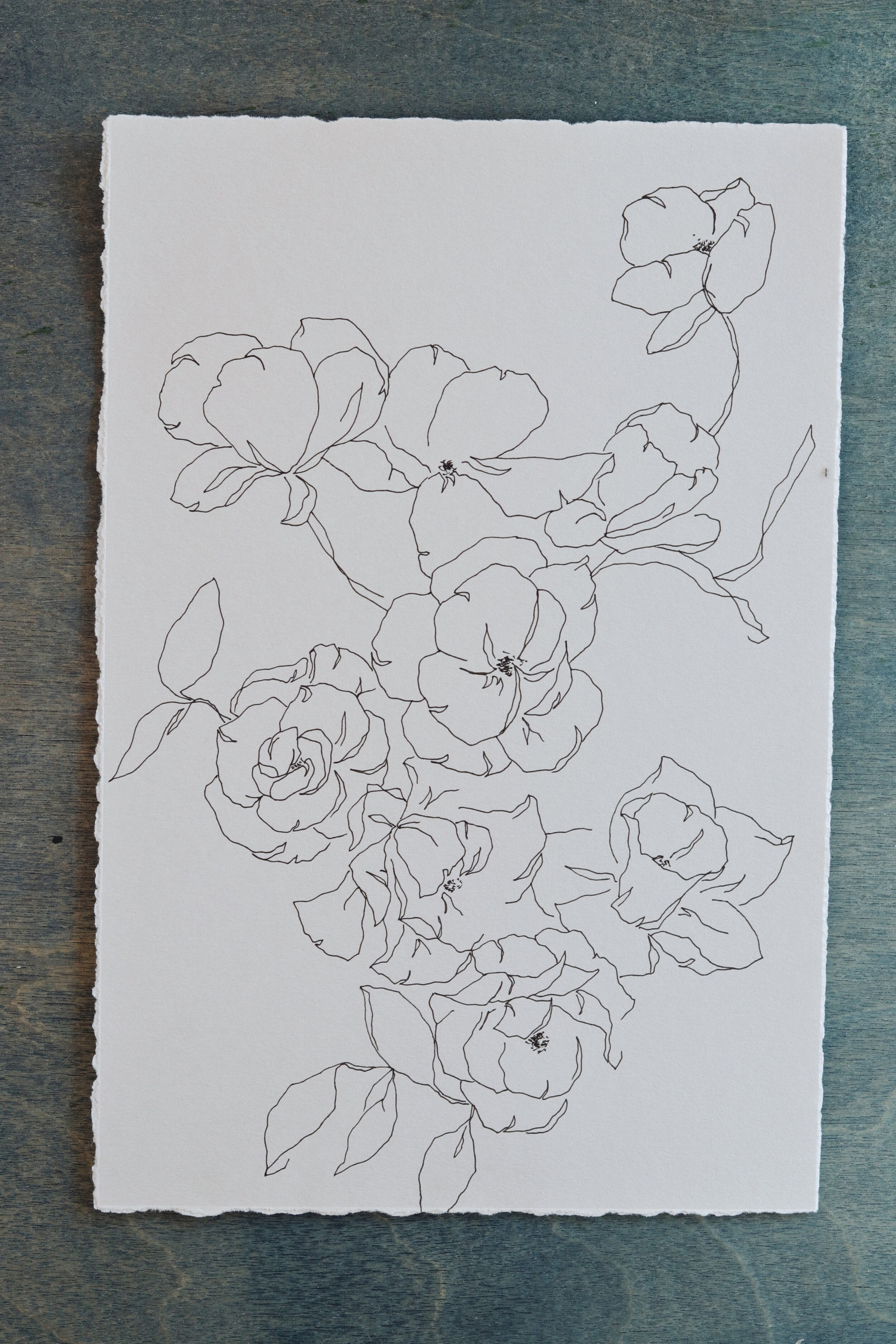 Meredith_Mejerle_Forever_Flowers 47.JPG