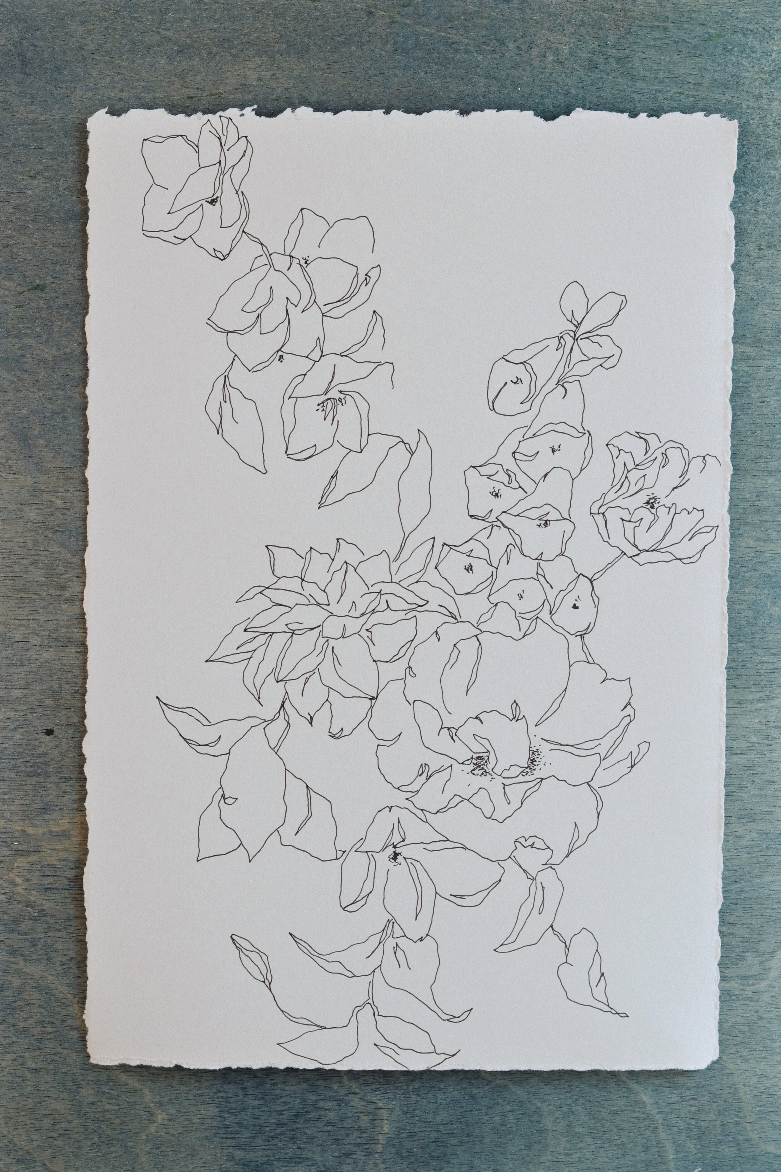 Meredith_Mejerle_Forever_Flowers 48.JPG
