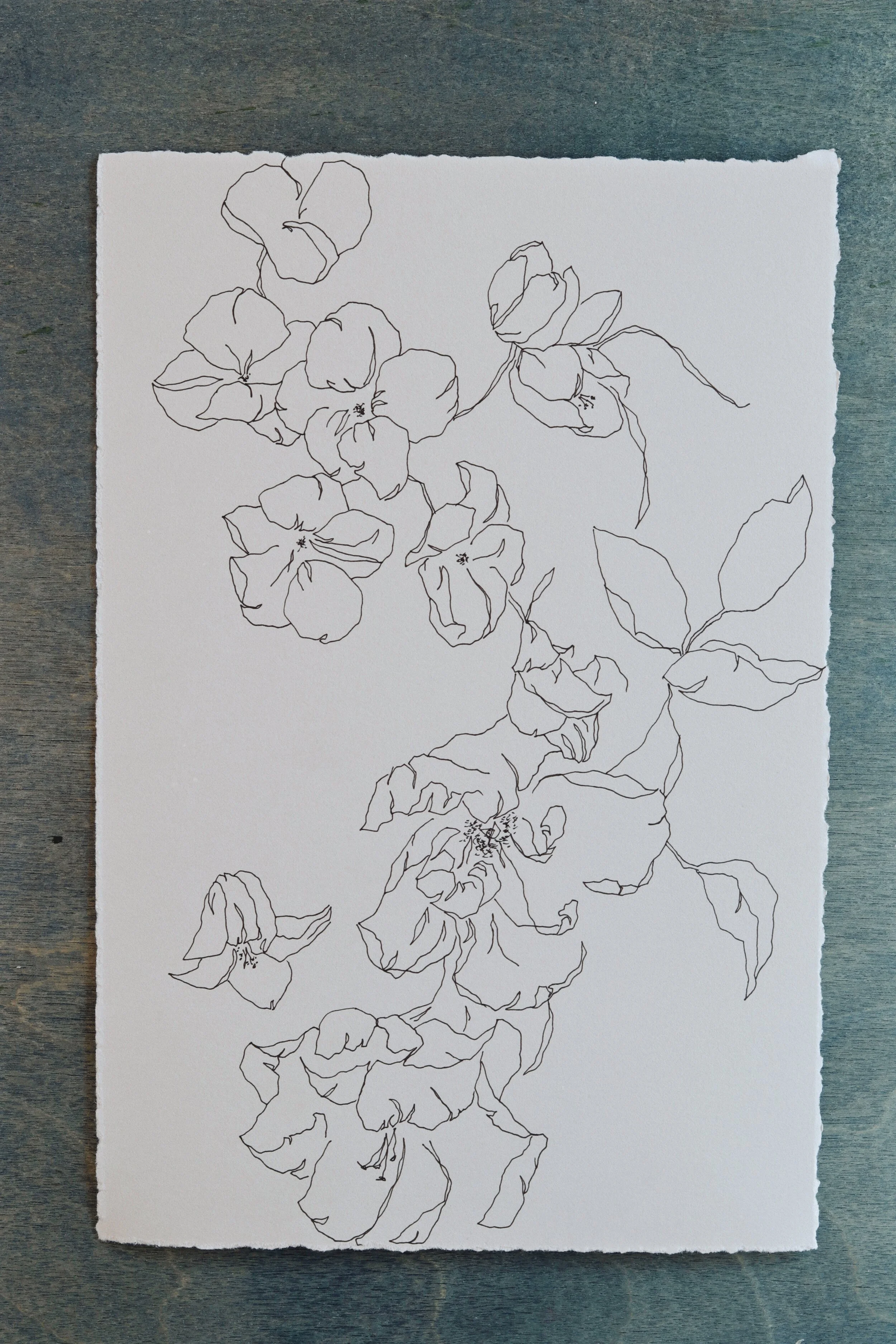 Meredith_Mejerle_Forever_Flowers 49.JPG