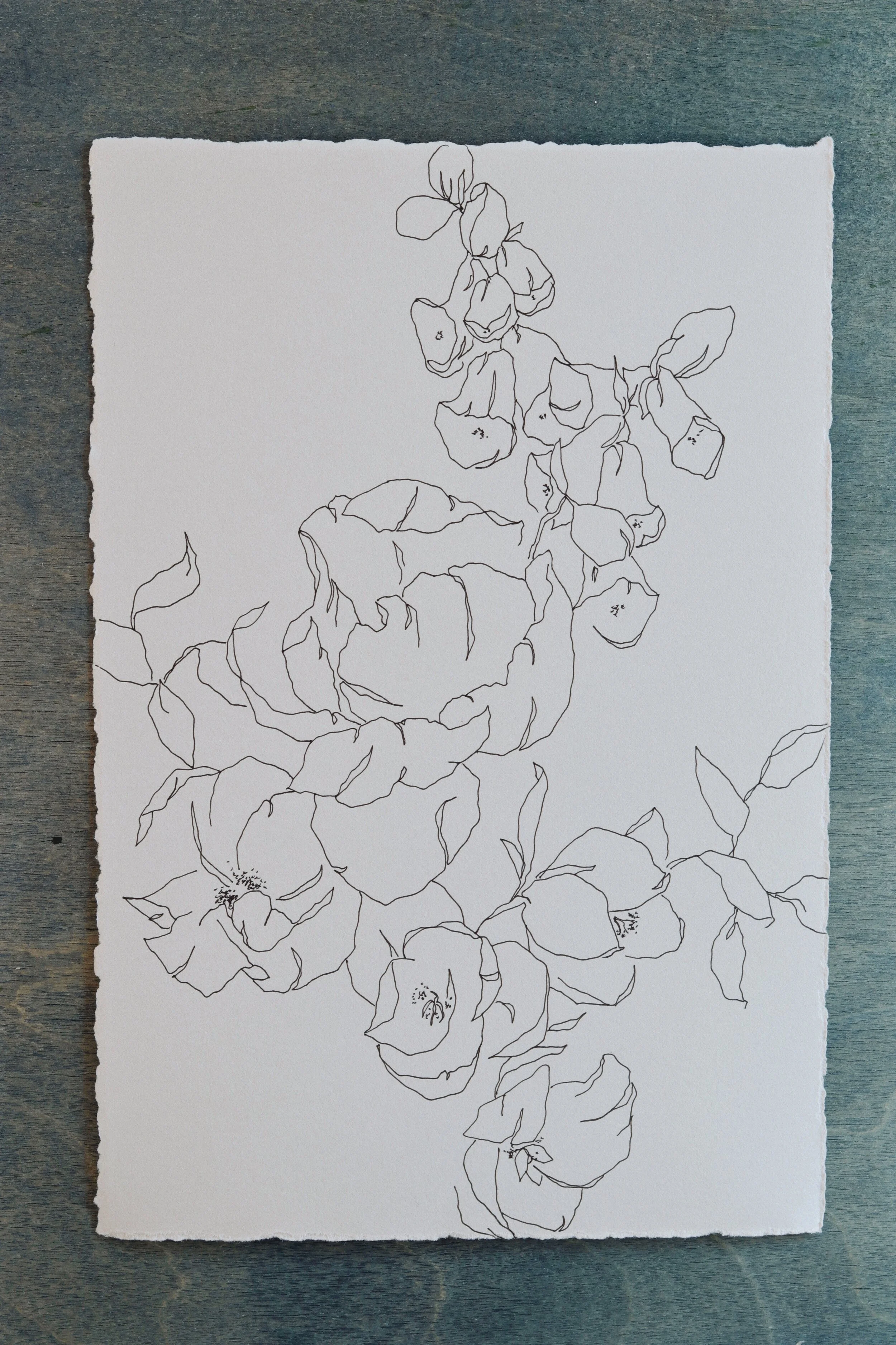 Meredith_Mejerle_Forever_Flowers 50.JPG
