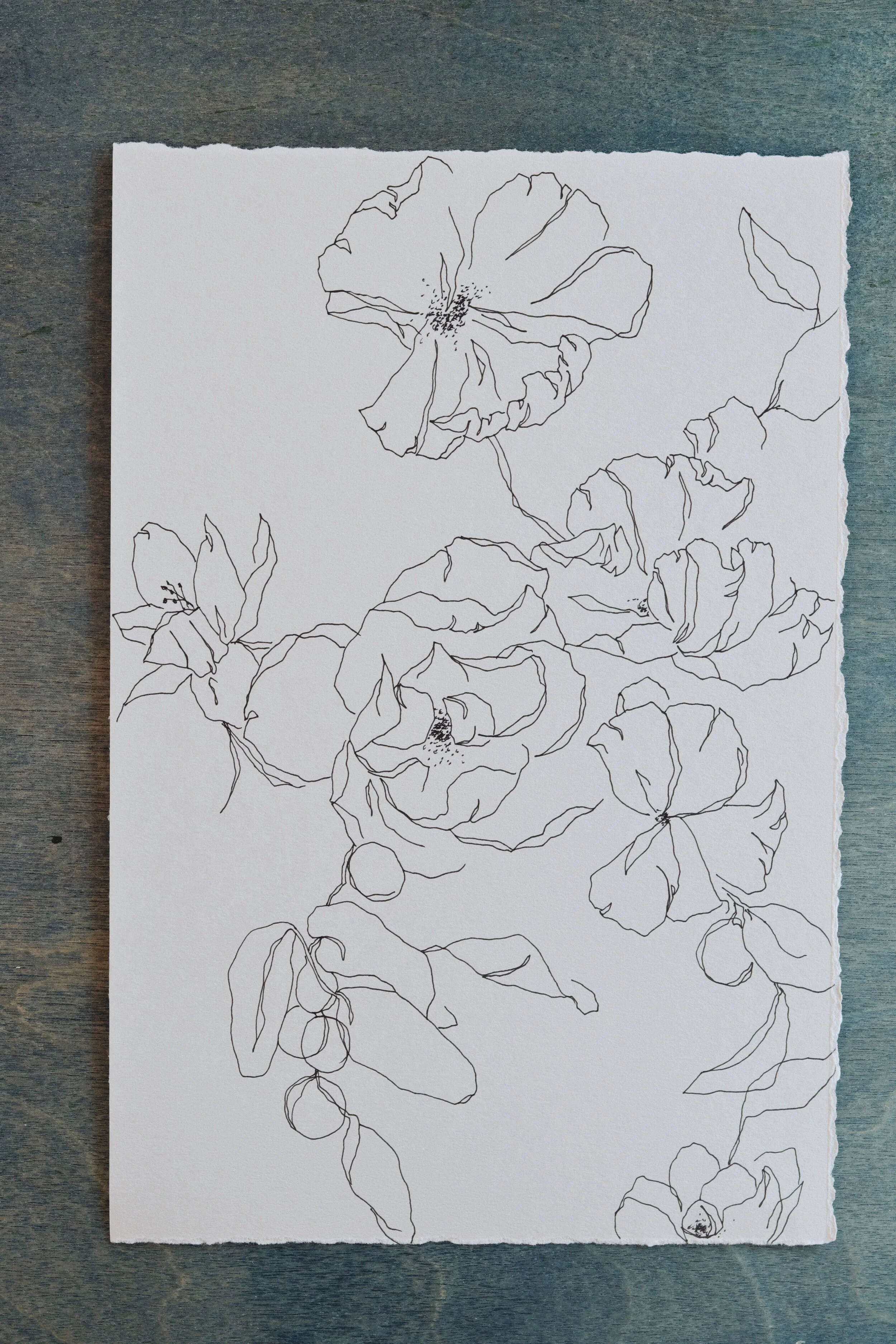 Meredith_Mejerle_Forever_Flowers 54.JPG