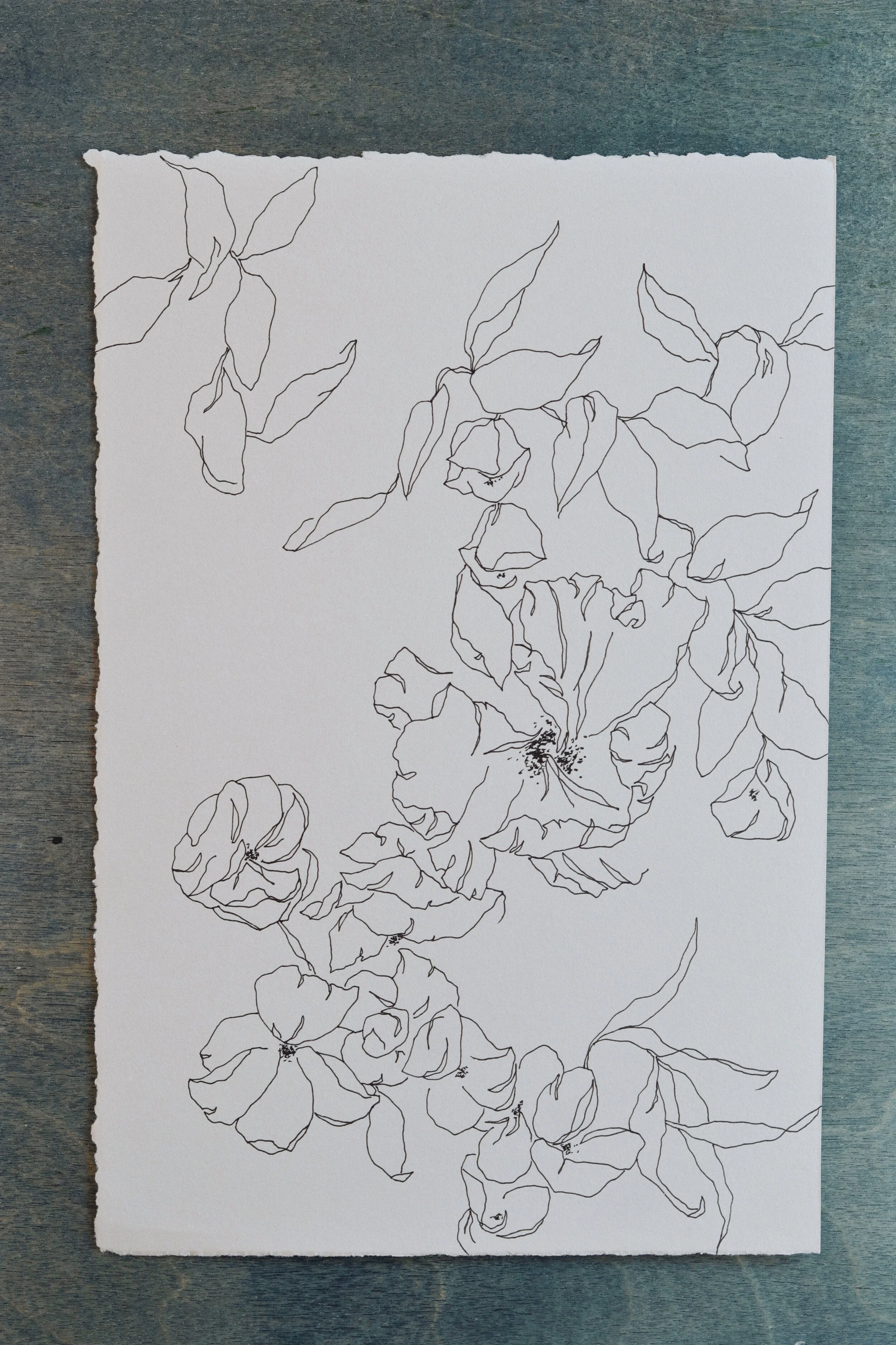 Meredith_Mejerle_Forever_Flowers 55.JPG