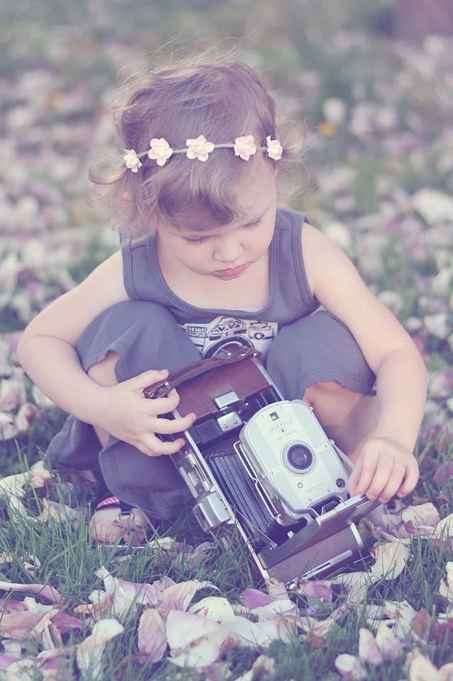 Chicagoland Photographer | What a summer!