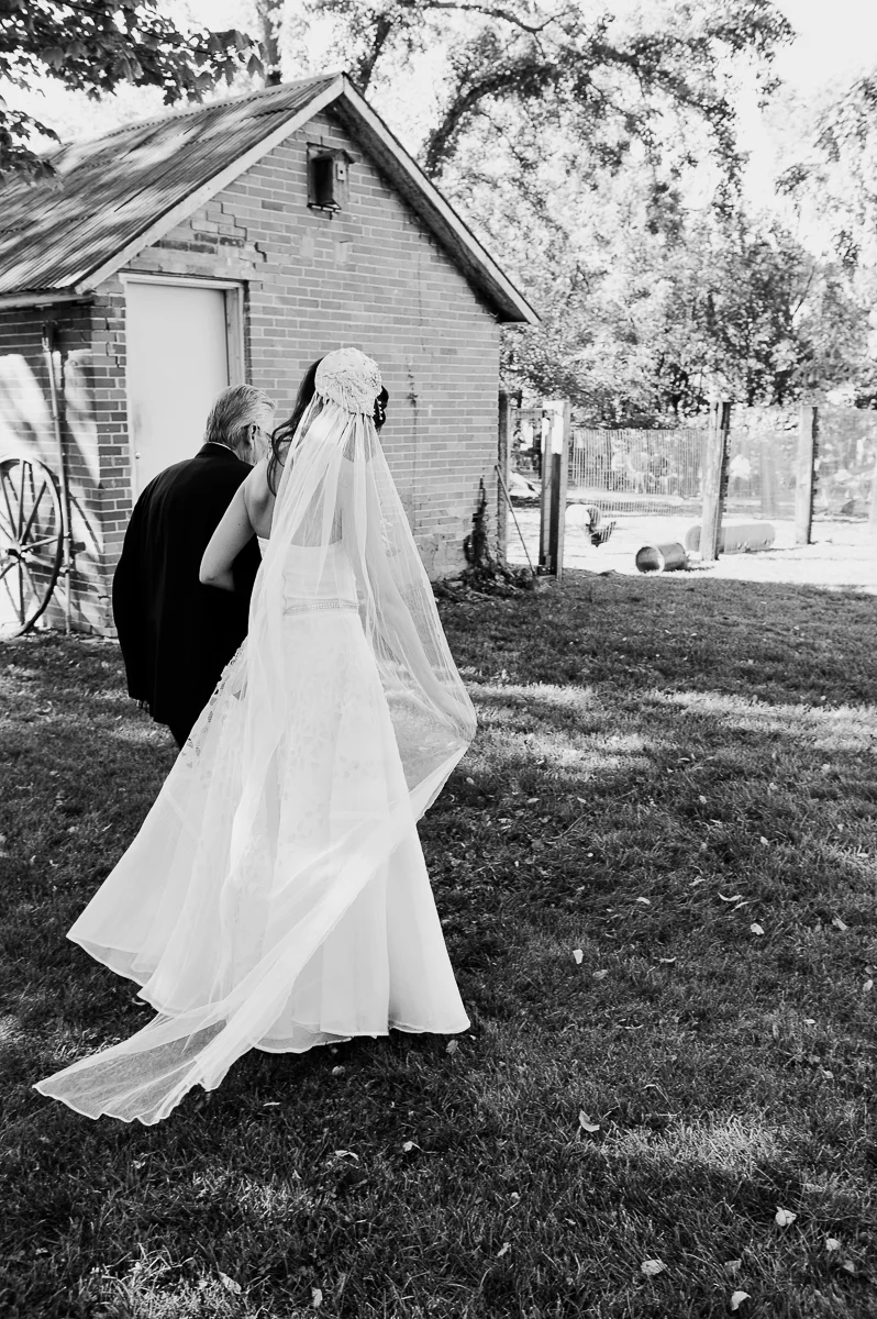 wedding-2650.jpg
