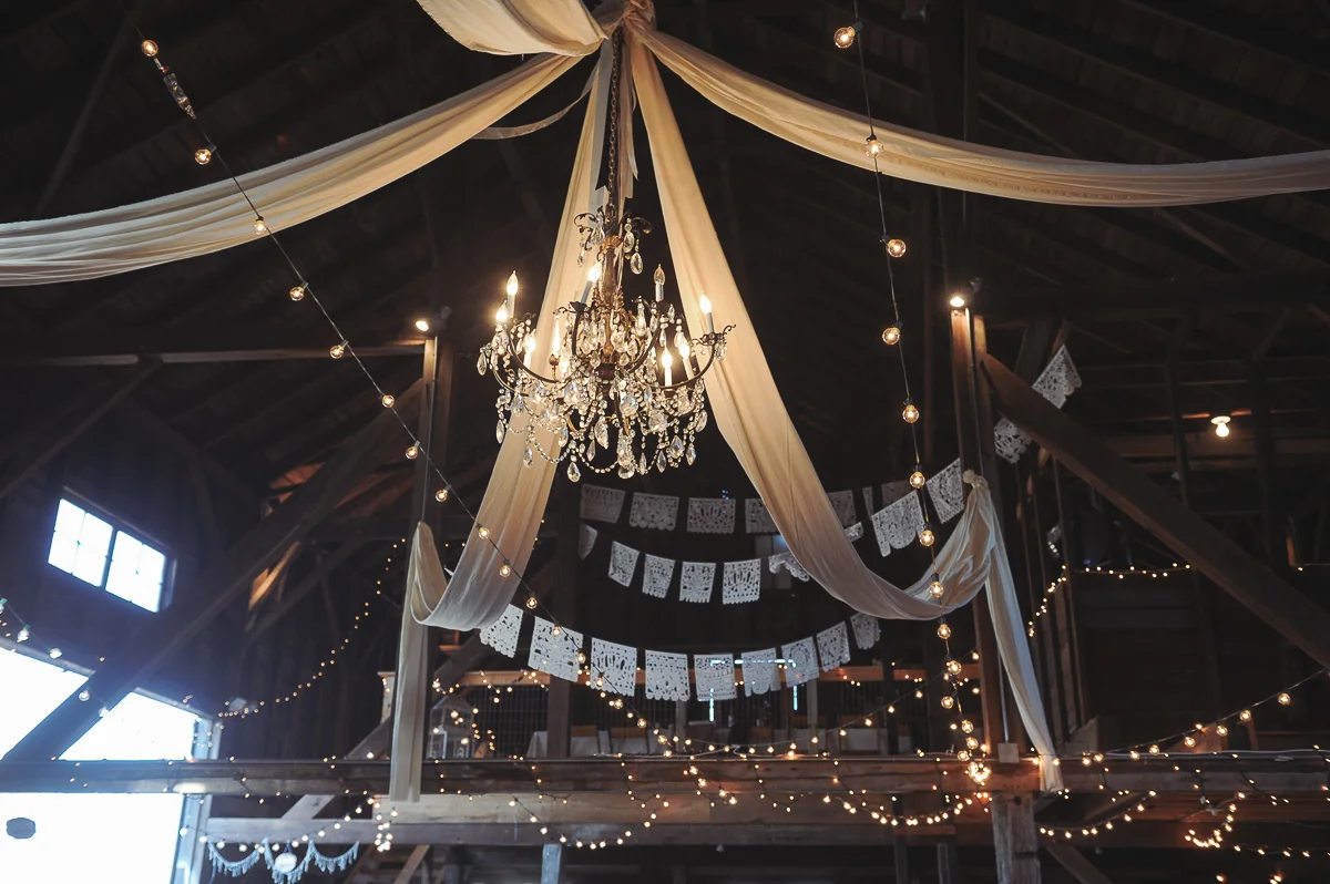 wedding-3058.jpg