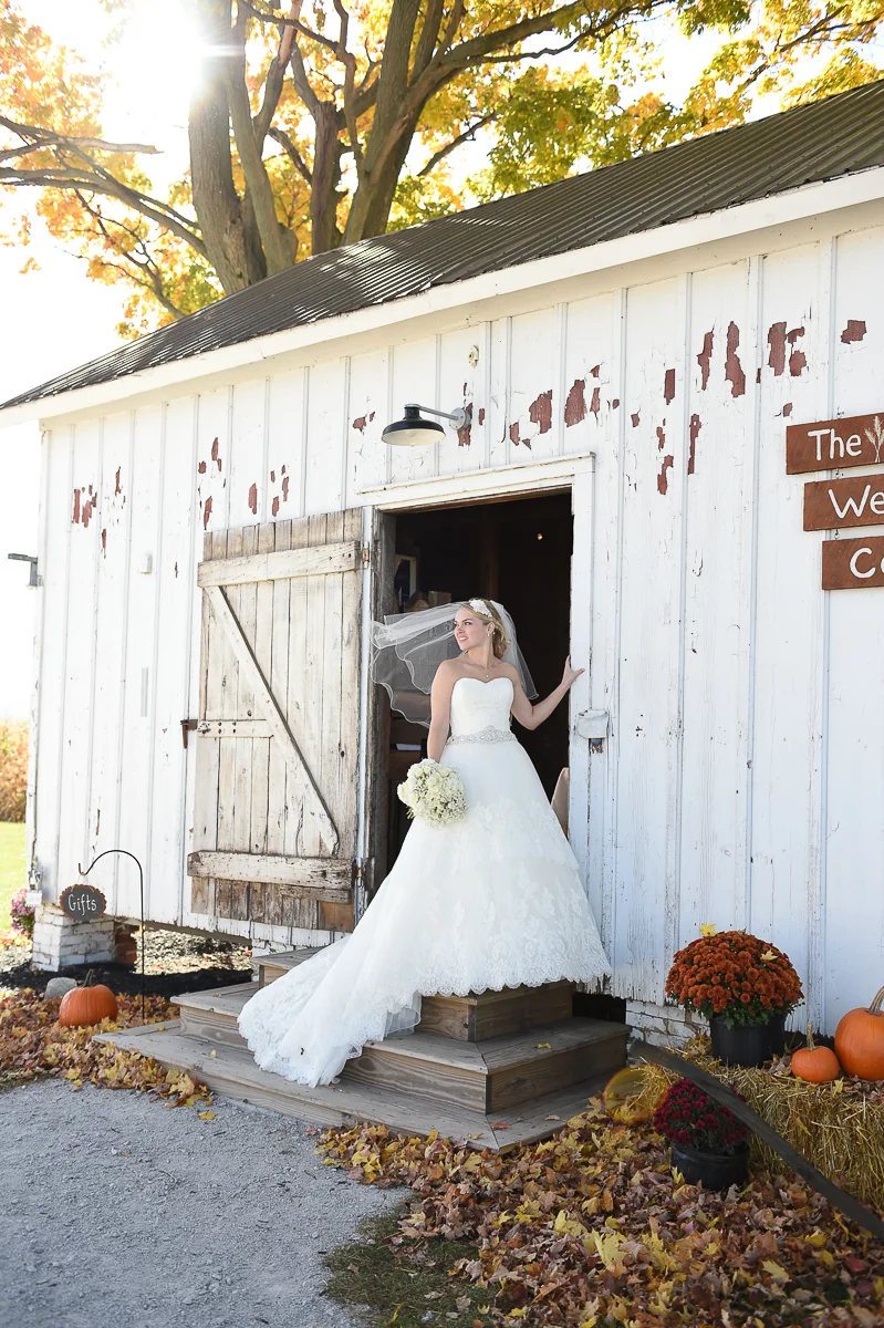 wedding-2025.jpg