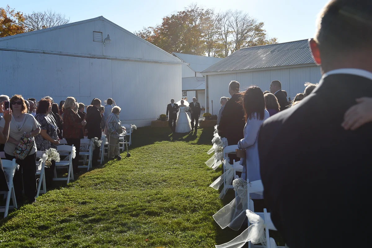 wedding-2411.jpg