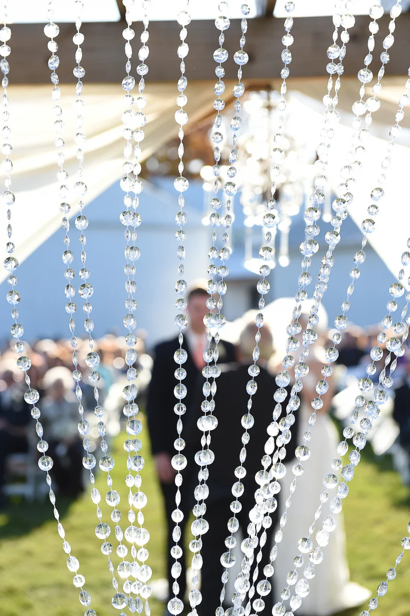 wedding-2493.jpg