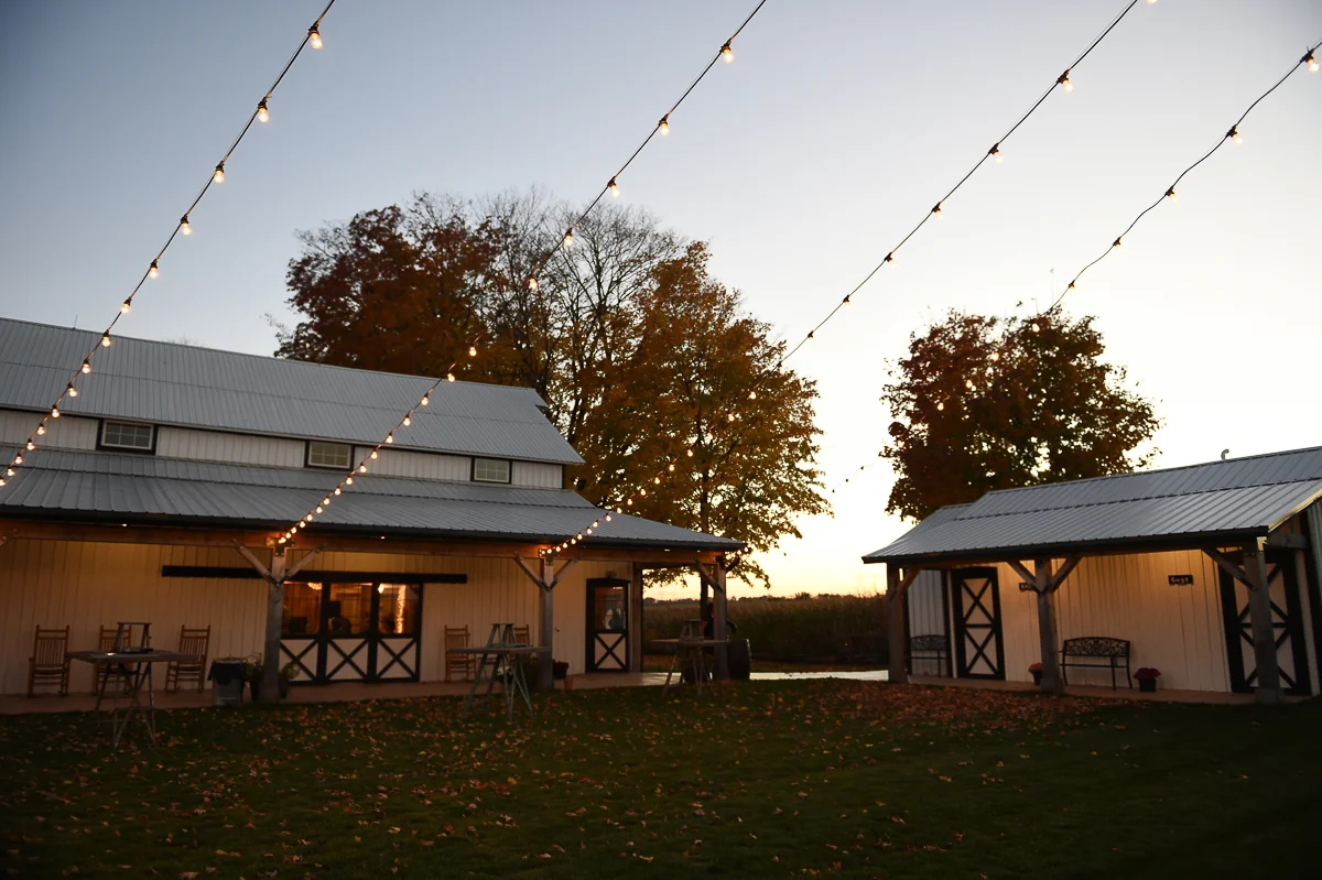 wedding-3533.jpg