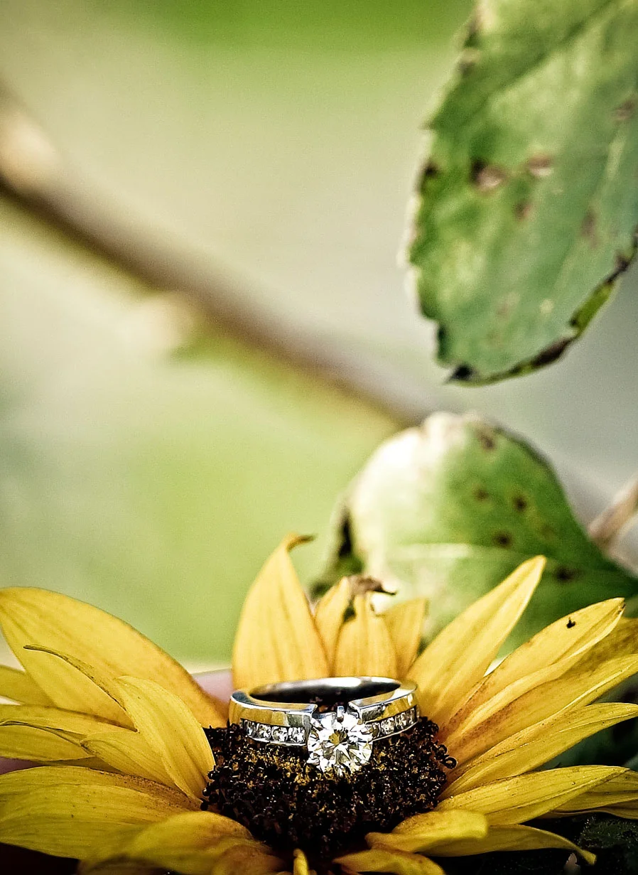 engagement-53a---Copy.jpg
