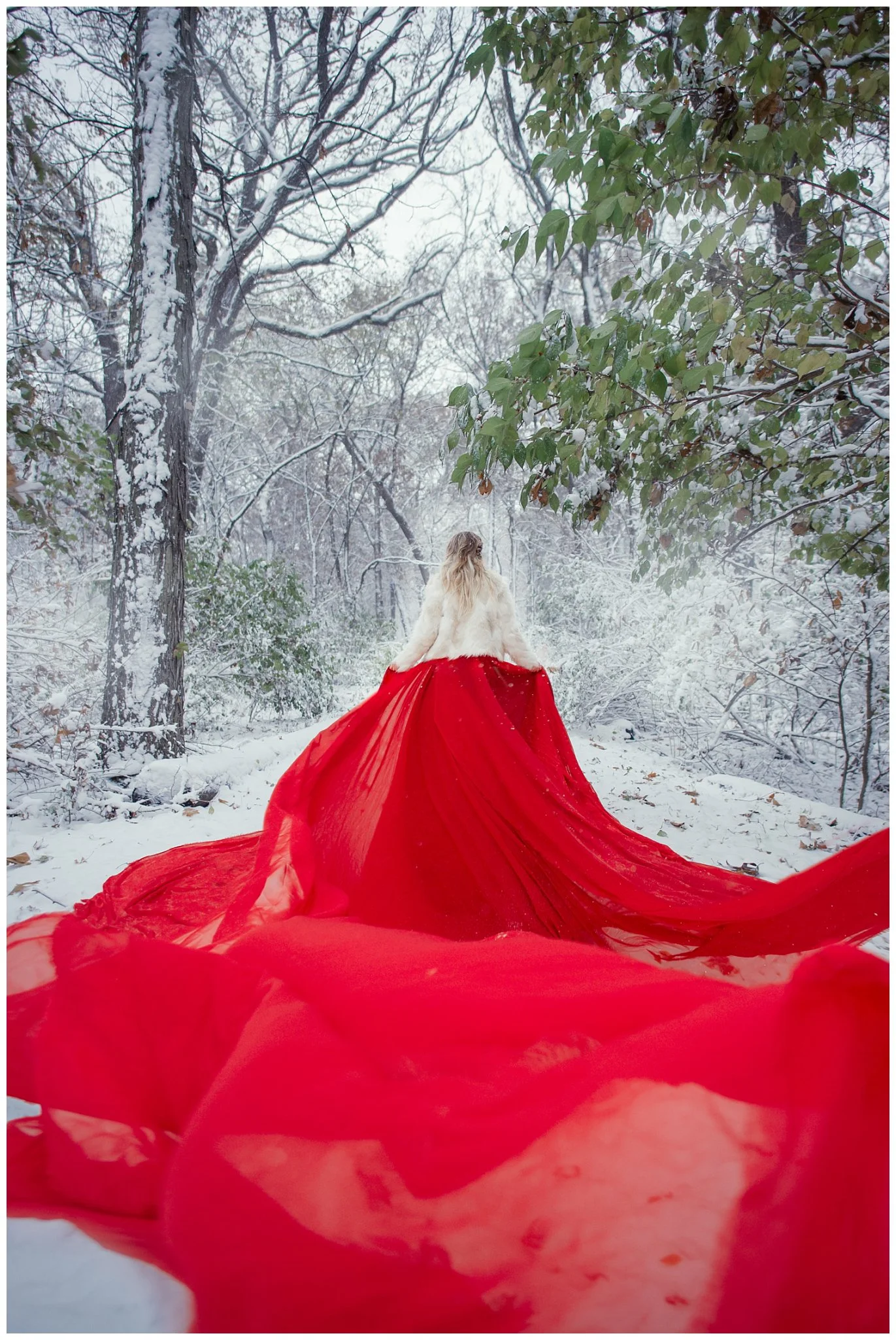 Chicagoland Photographer | Winter's Butterfly