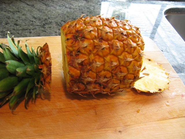 pine 1.jpg