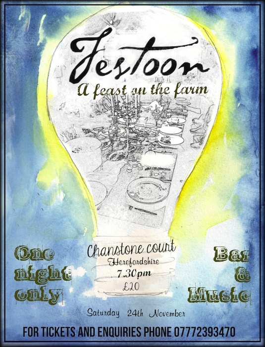 Festoon flyer_smaller.jpg