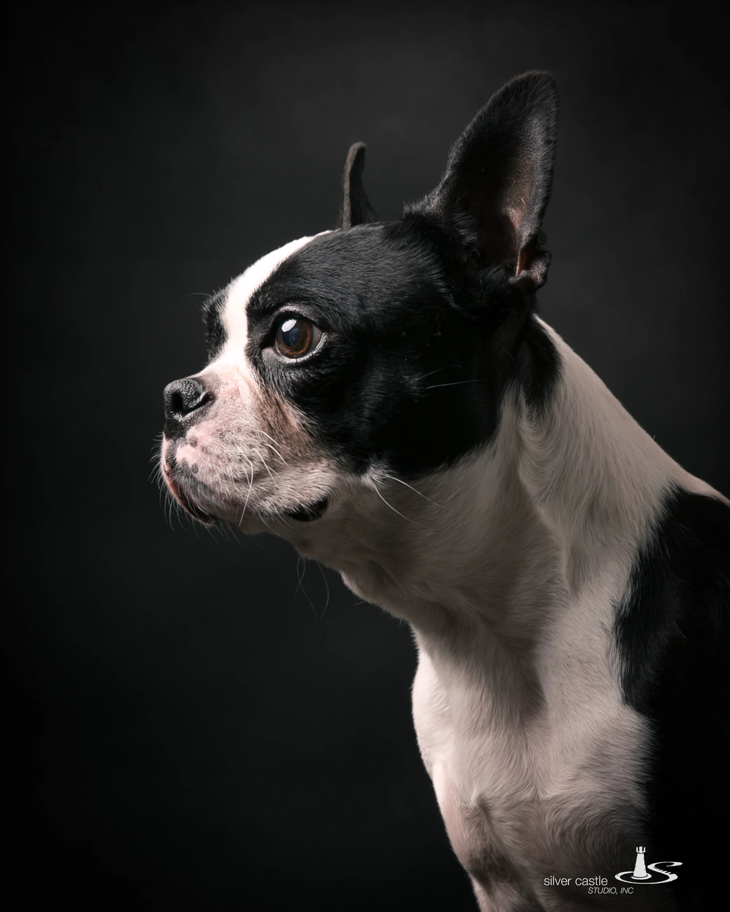 Layla | Client since 2010