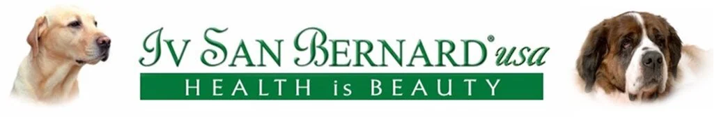 ISB+USA+LOGO+2+copy.jpg