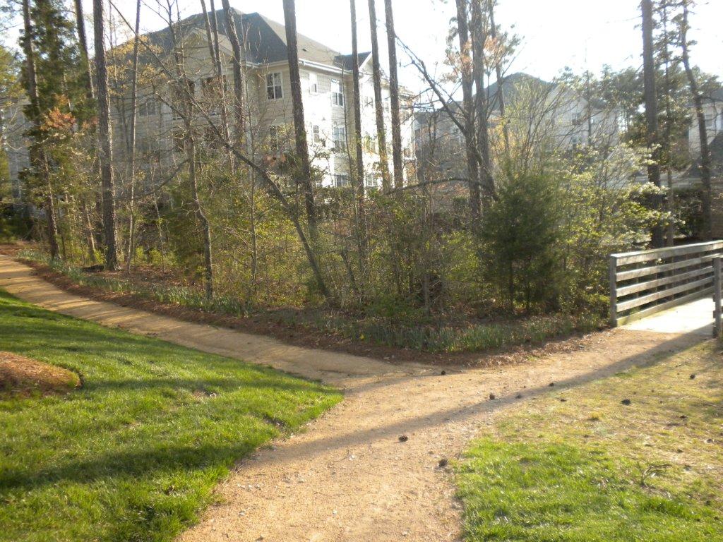 walking trails.jpg