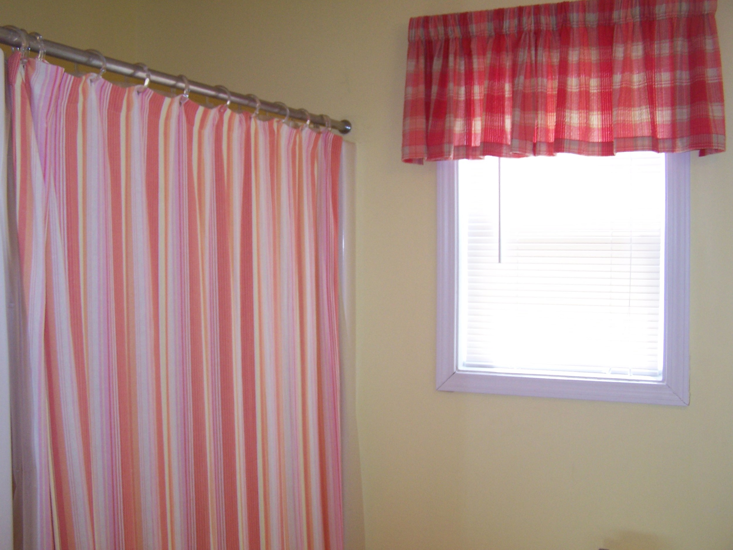 bathroom window.JPG