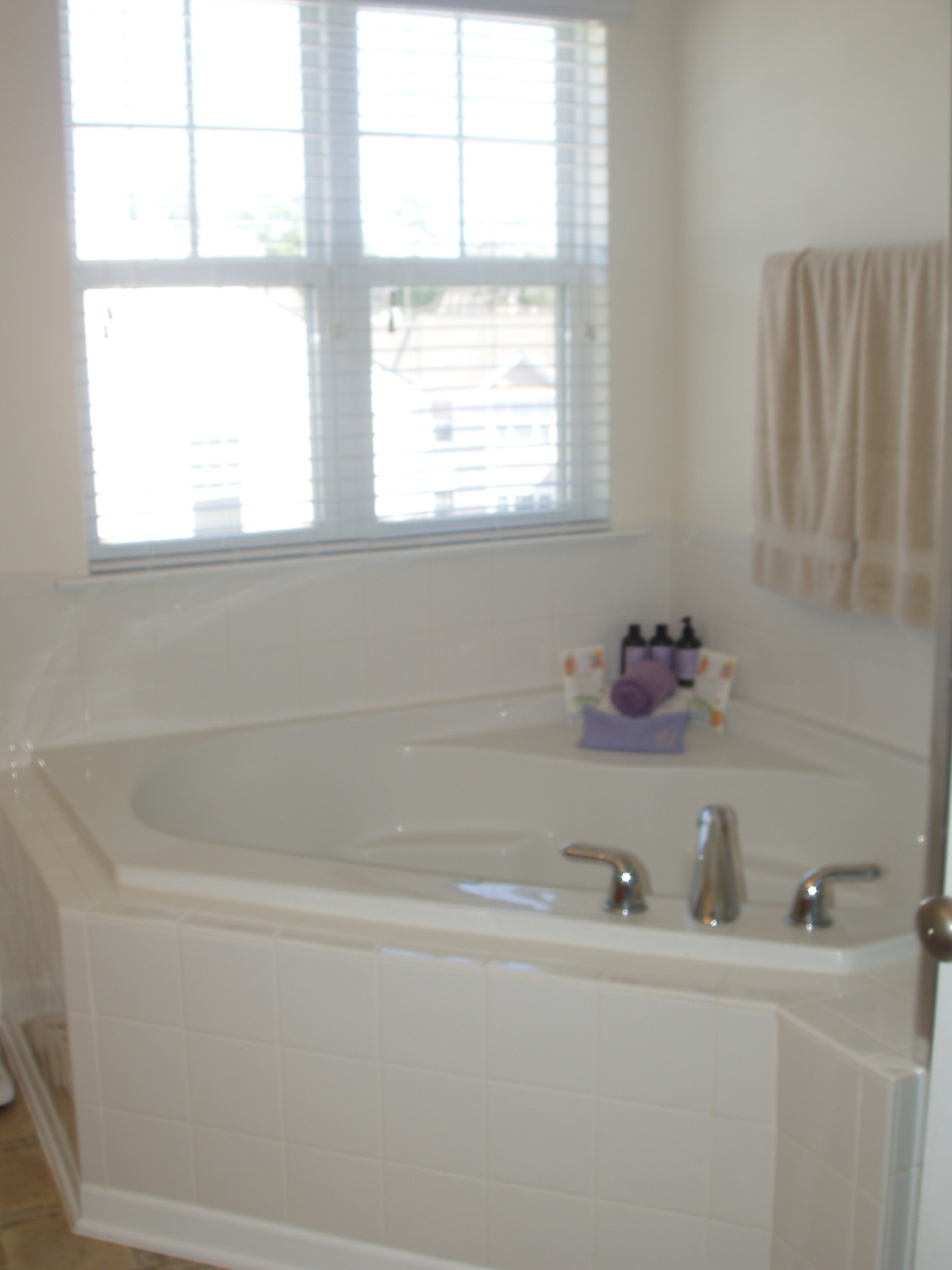 Master Bath 2.JPG