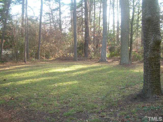 backyard.jpg