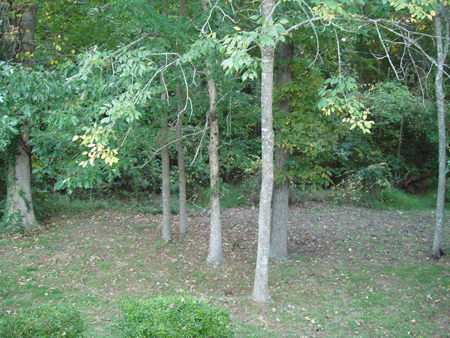 PA140089.JPG
