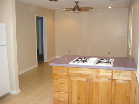 resize kitchen.jpg