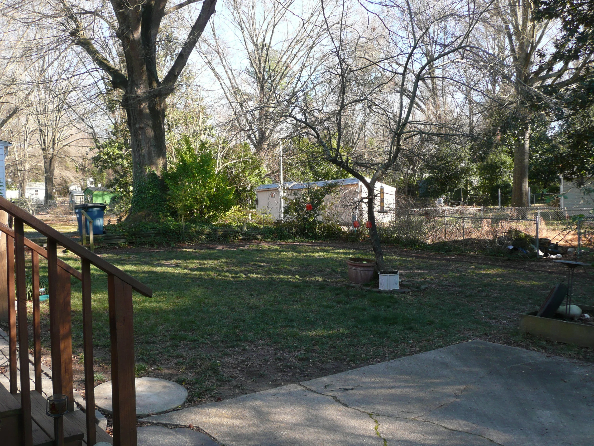 back yard.jpg