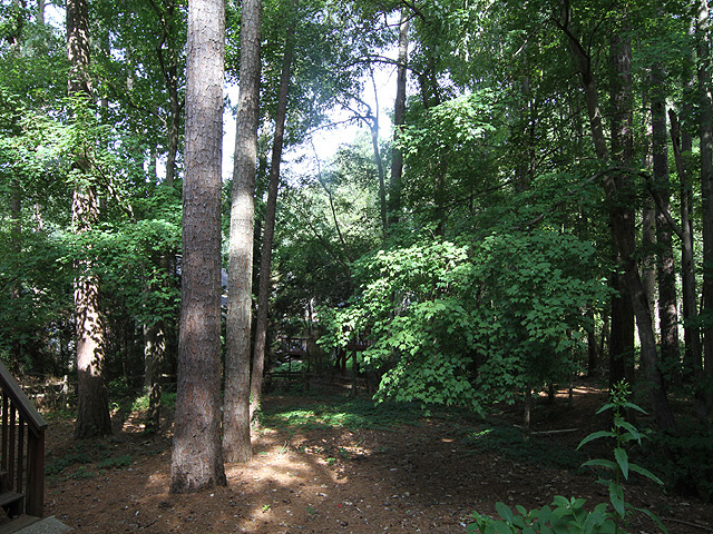 2 Gatlin Ct_23.JPG