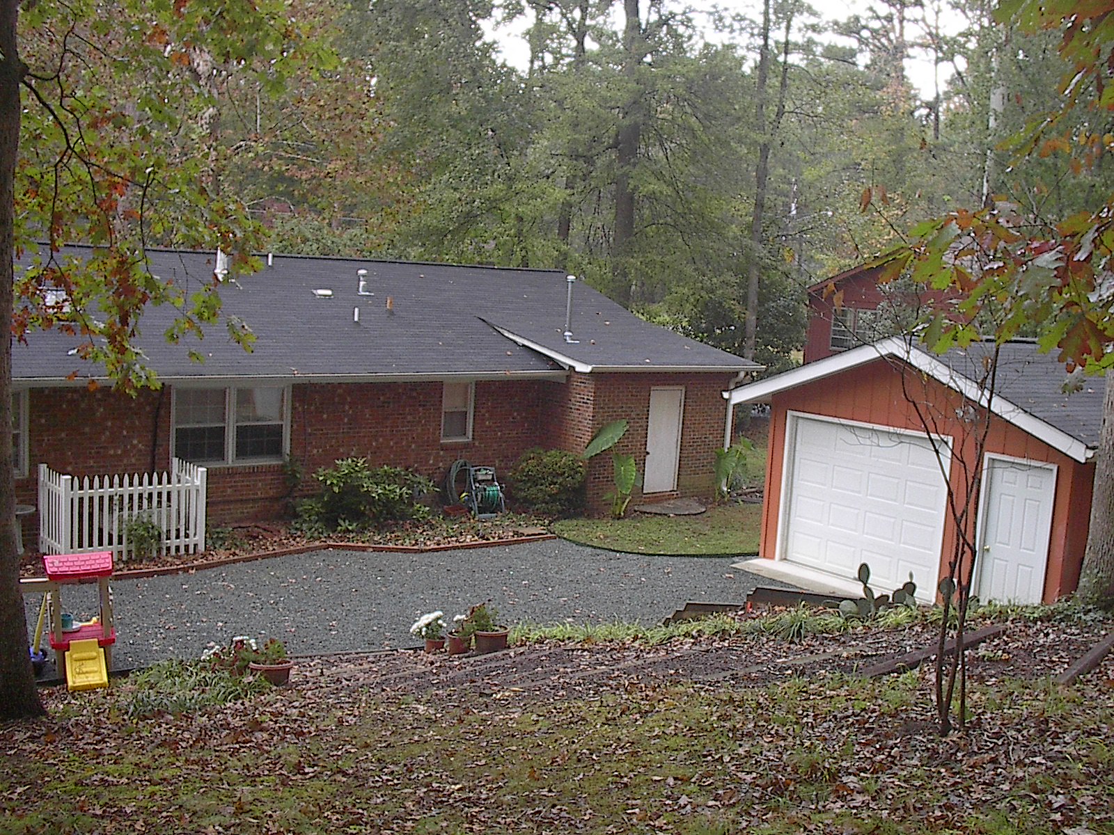 Backyard 2.JPG