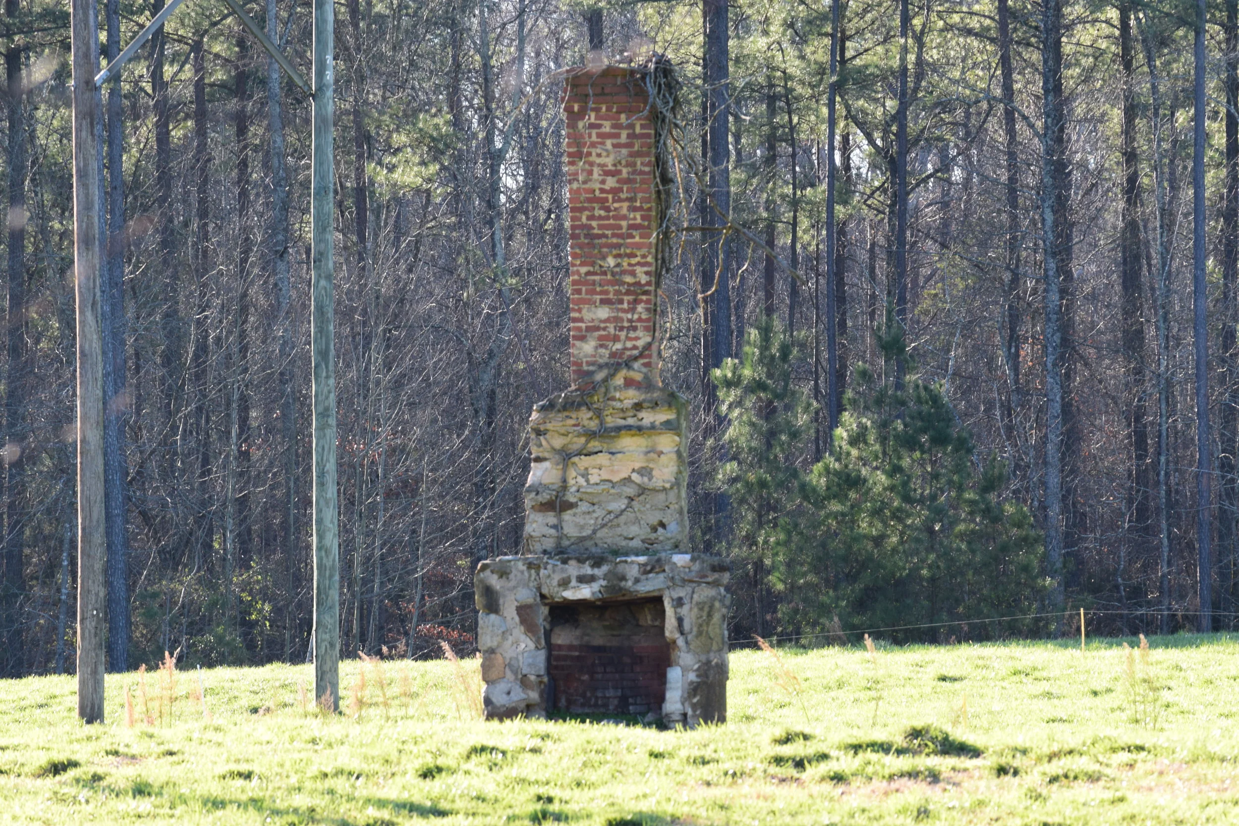 DSC_0071.JPG