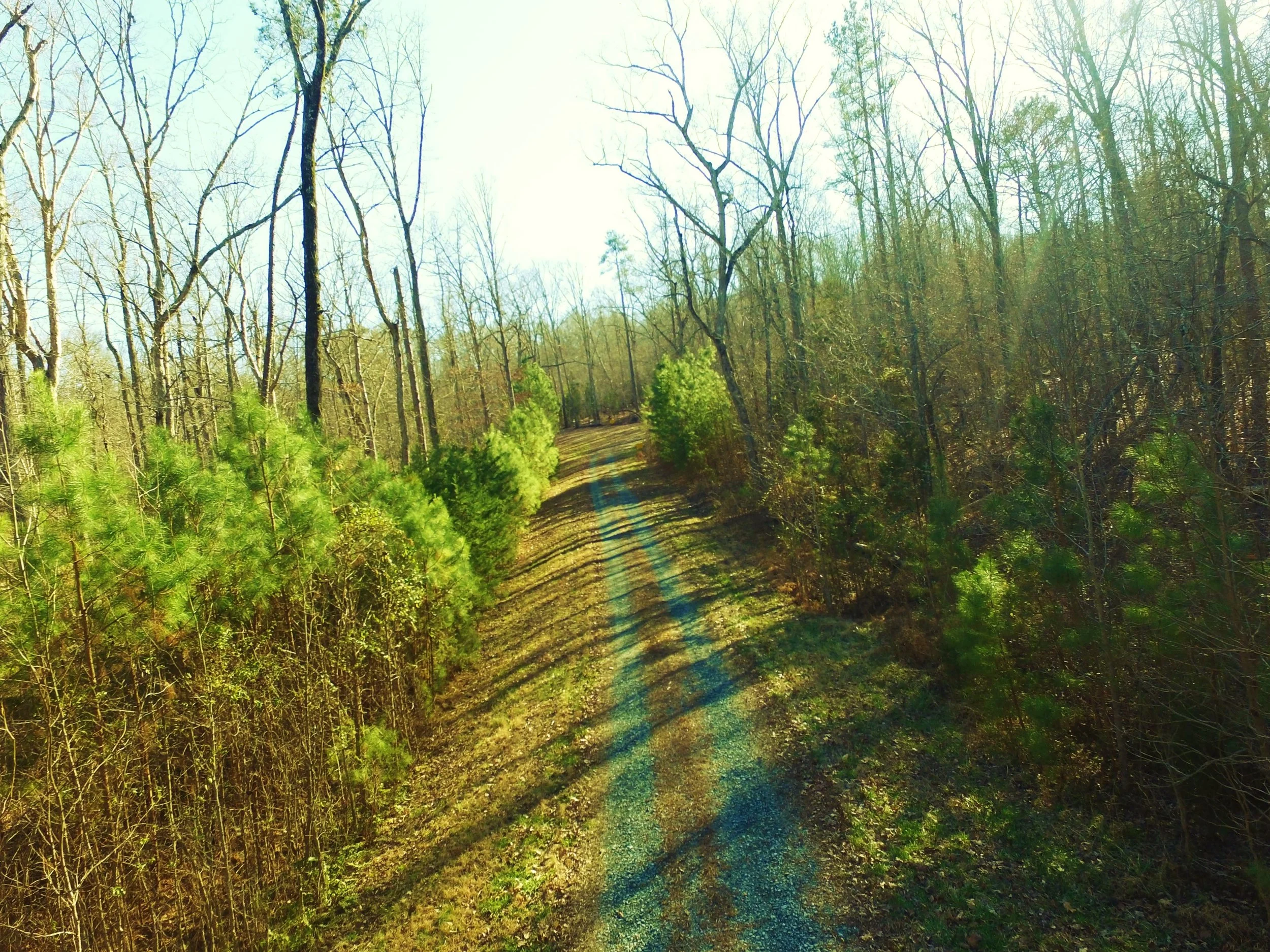 DJI_0089.JPG