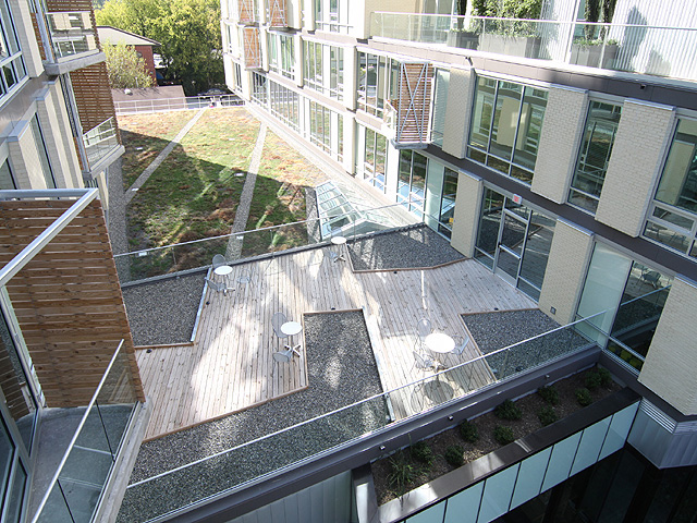 Rooftop garden.JPG