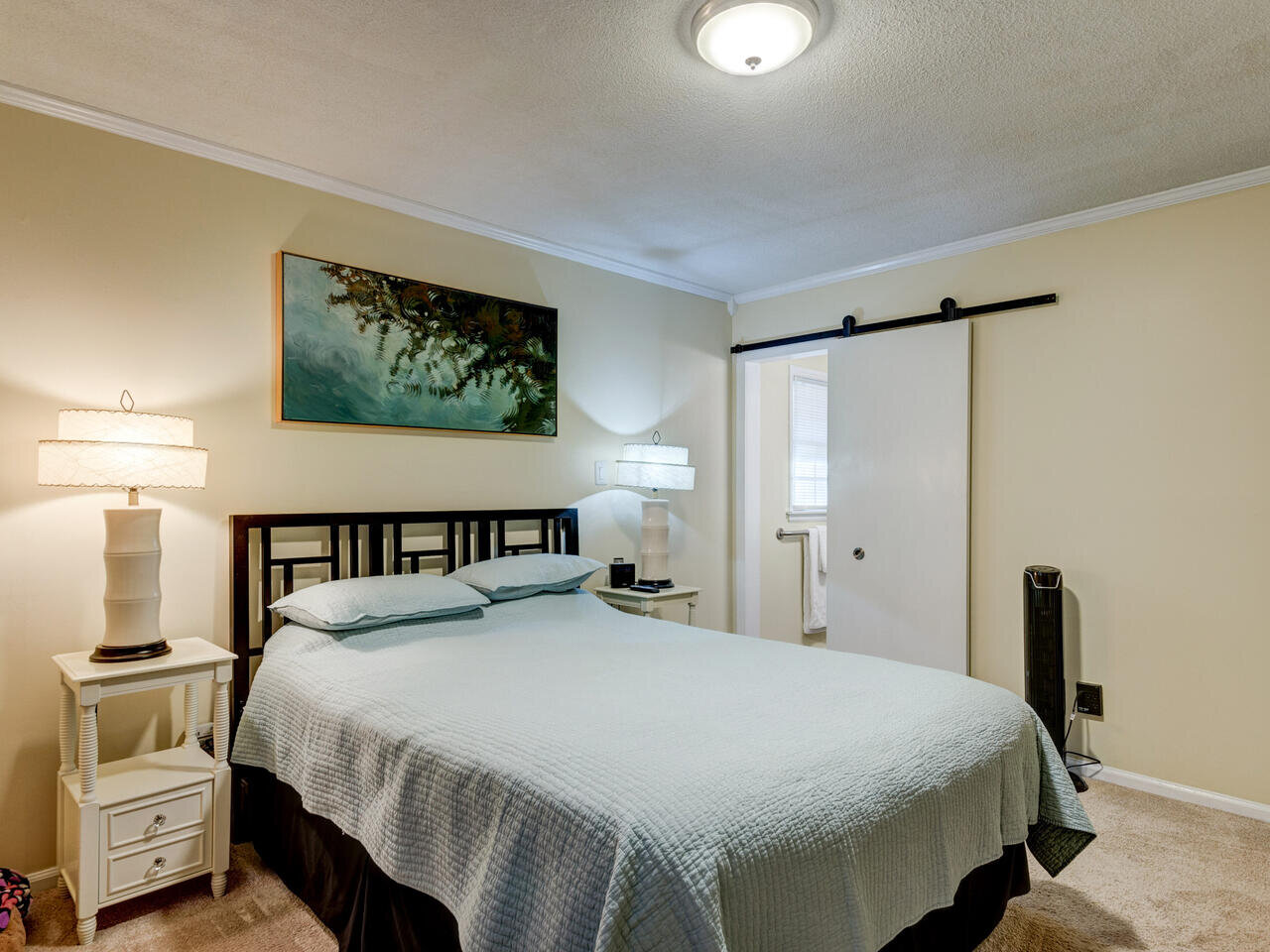209 Celeste Cir Chapel Hill NC-018-012-Master Bedroom-MLS_Size.jpg