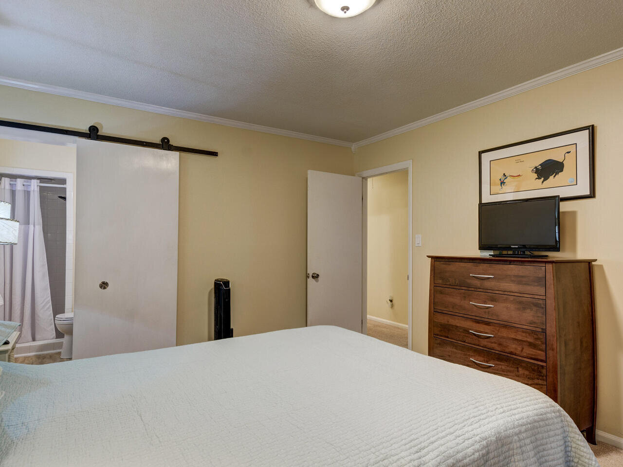 209 Celeste Cir Chapel Hill NC-020-013-Master Bedroom-MLS_Size.jpg