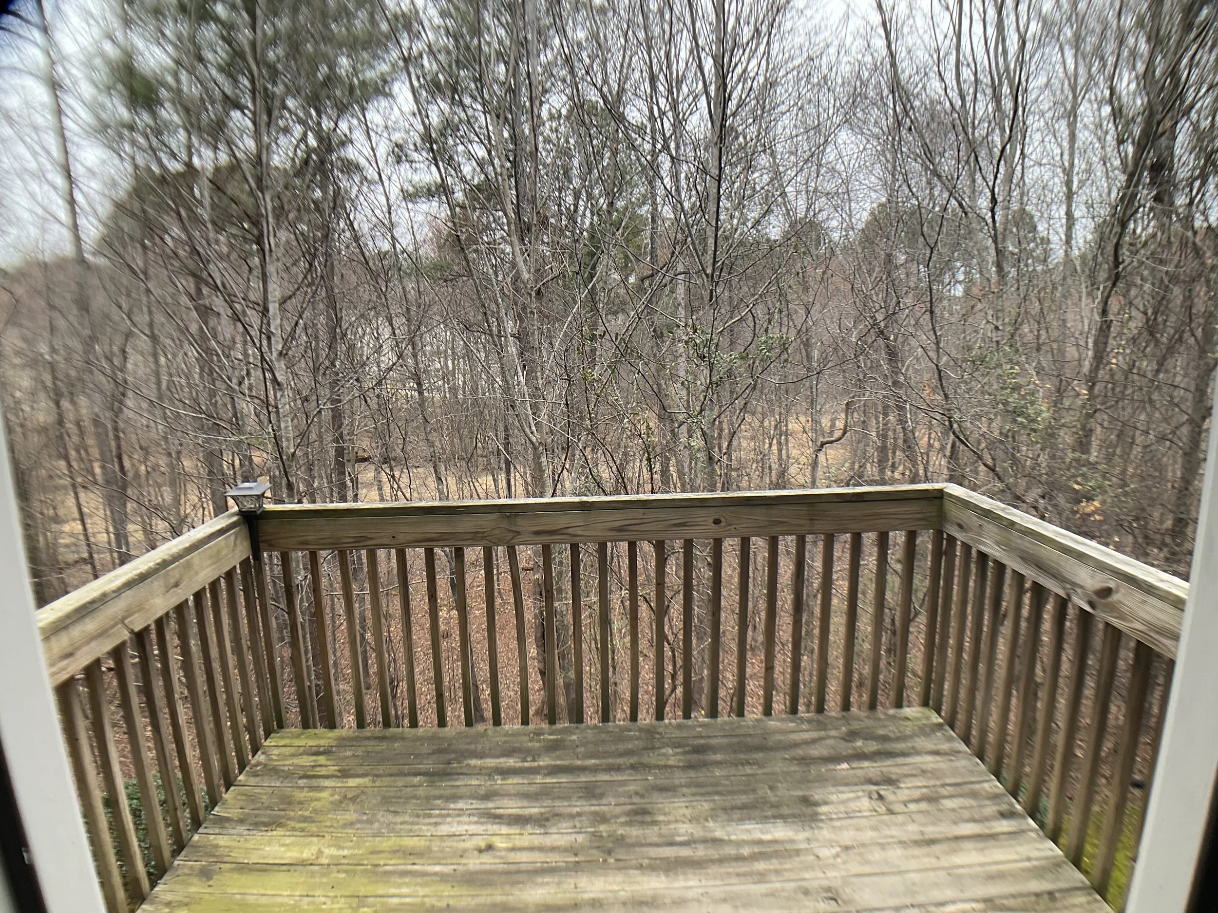 Photo Mar 02 2026, 12 43 27 PM.jpg