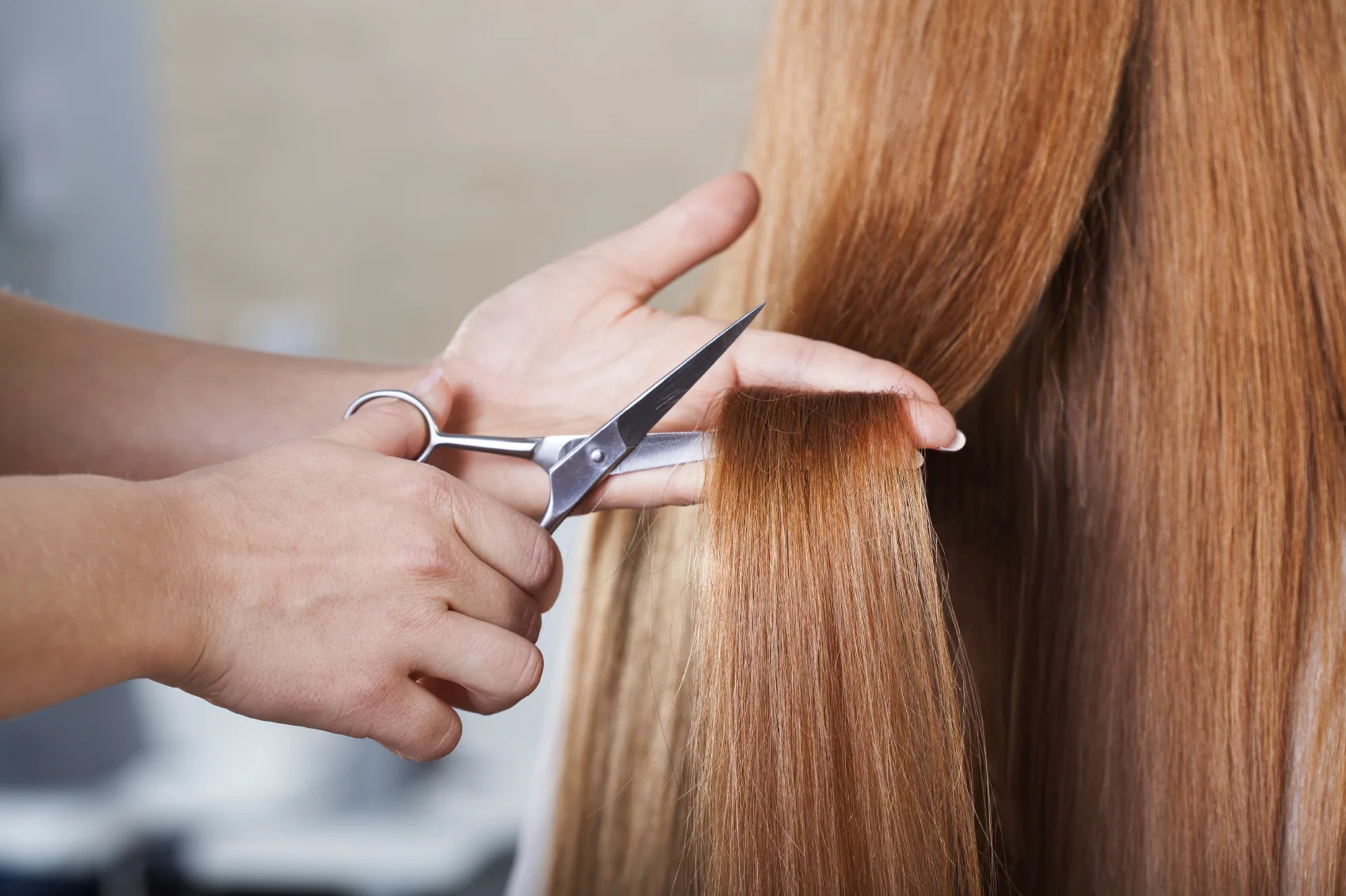iStock_000037328974_Medium.jpg