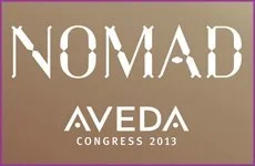 Brown Aveda Presenting at AVEDA CONGRESS 2013