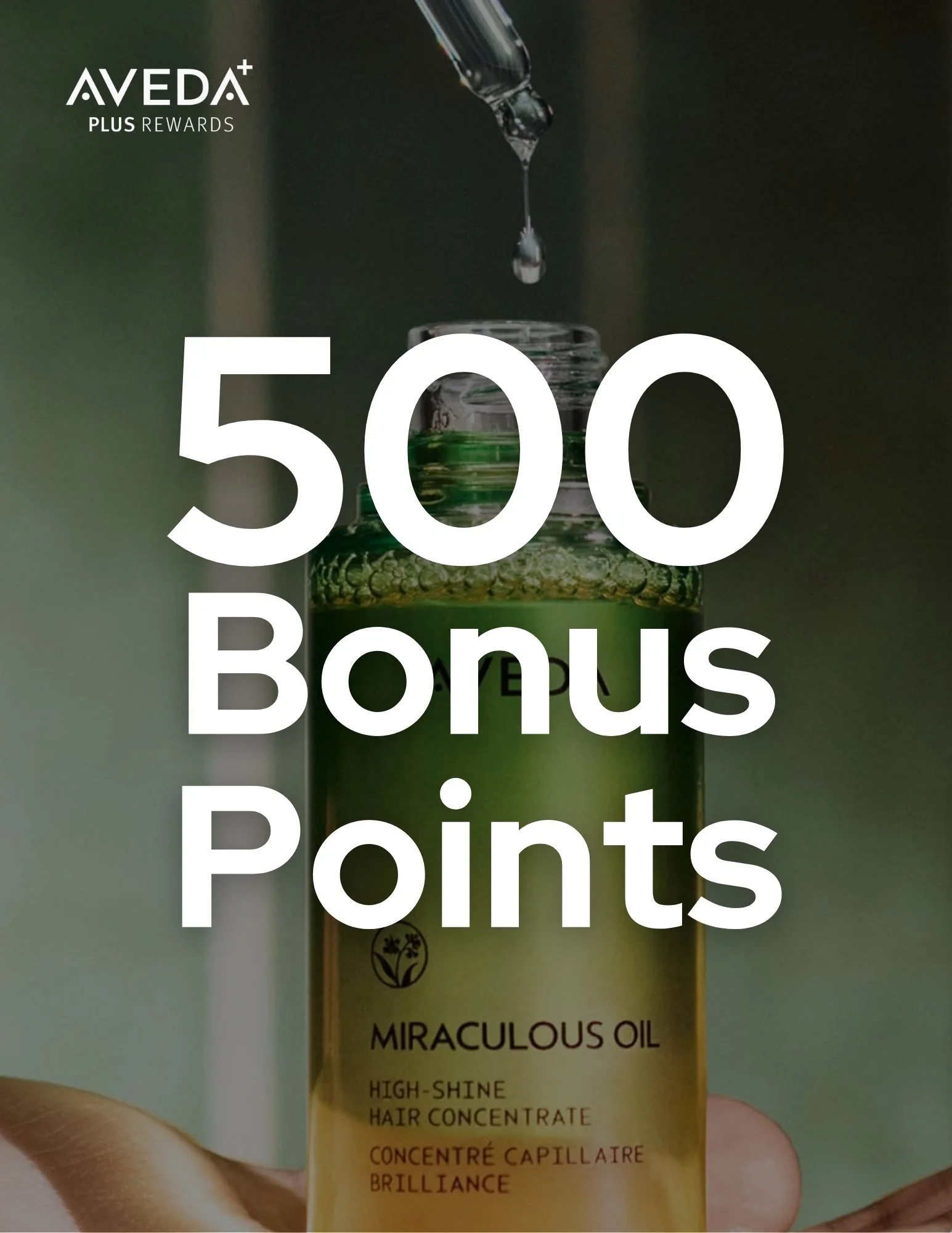 Earn 500 Bonus Points with Aveda Plus Rewards — Now Through July 31!