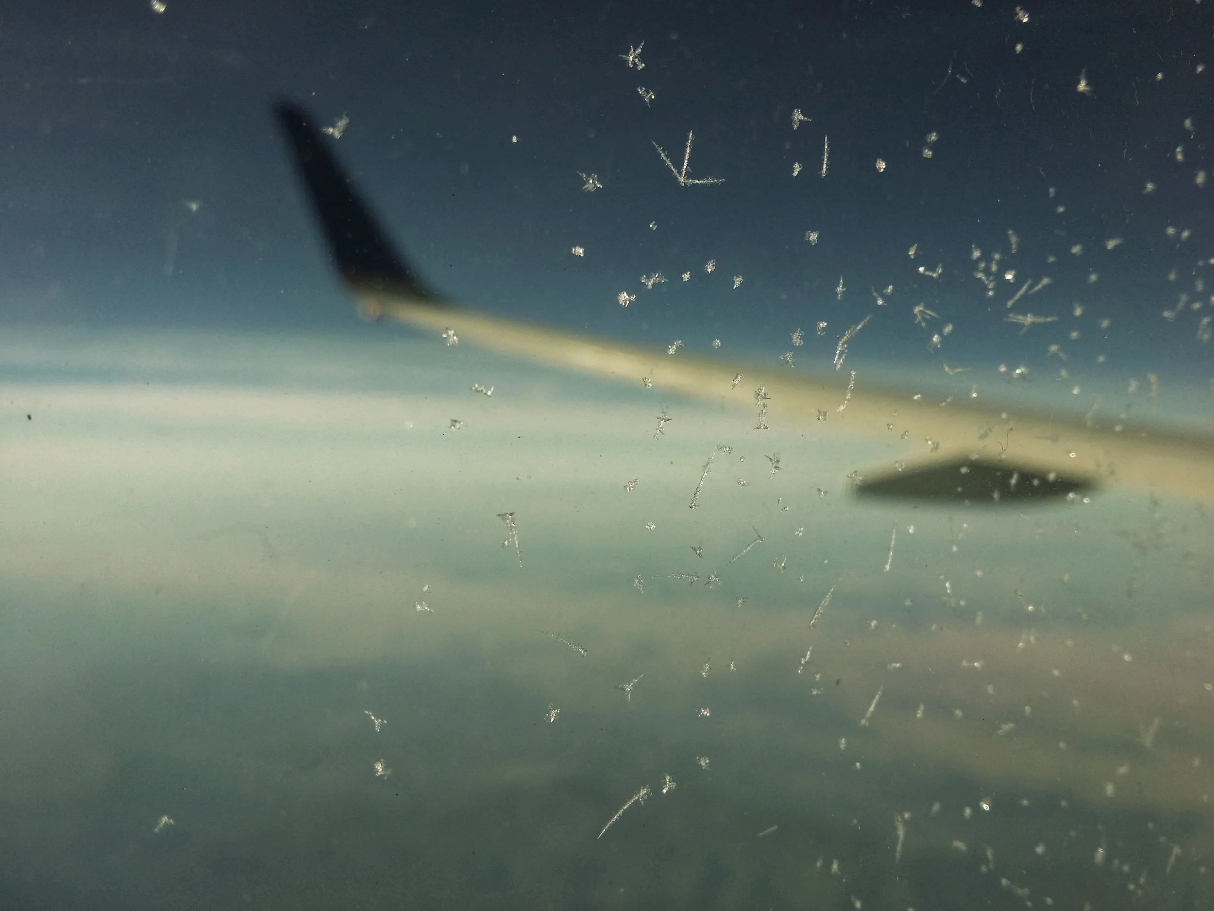 Mobile Photography 2015 | North Carolina Photographer