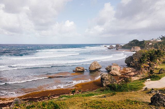 Bathsheba 80&deg; and sunny.