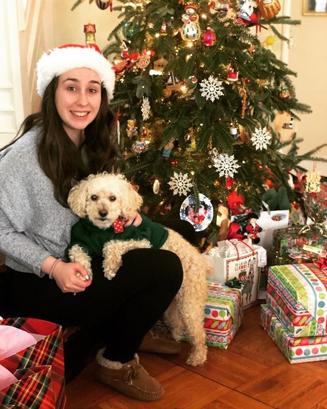 Merry Christmas from Ellie and me! 
Hope you all have a wonderful day surrounded by loved ones. .
.
.
#holidaypup #christmas #holidayseason #santa #christmasmorning