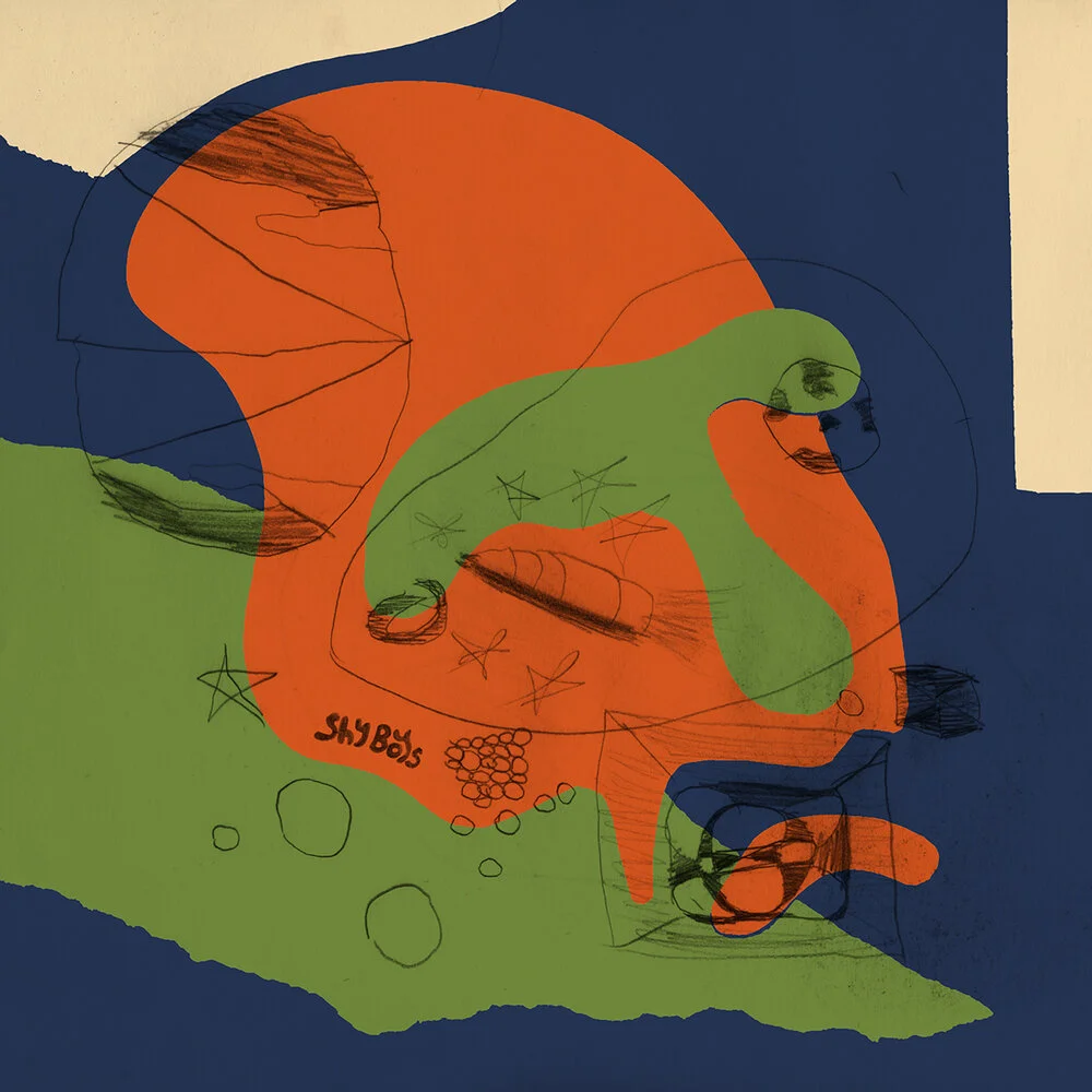 Shy Boys DIM_BRICK Artwork web.jpg