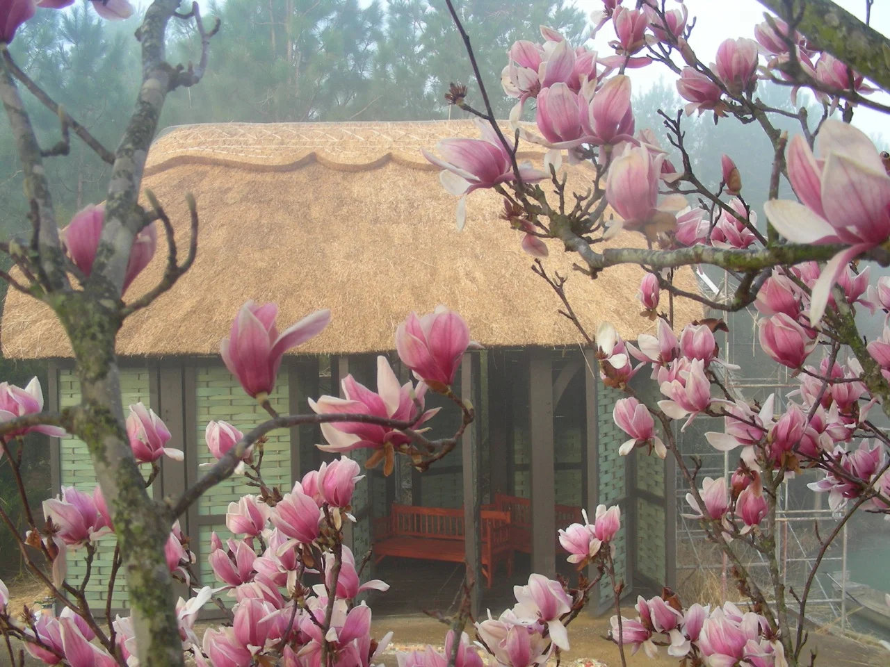 Spring House #1.jpg