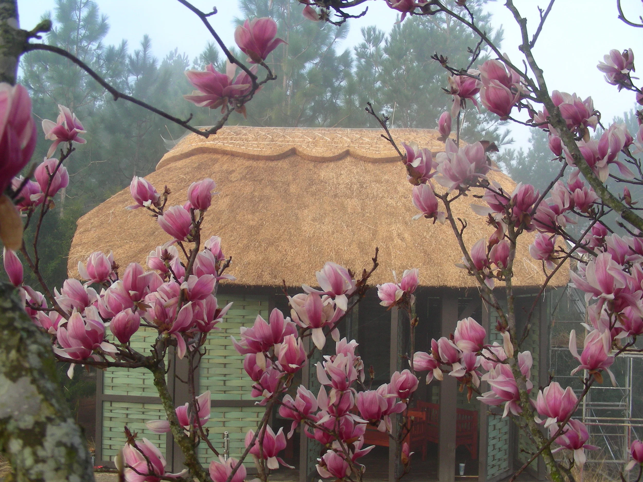 Spring House #2.jpg