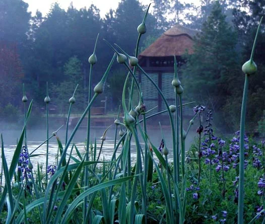 Spring House #6.jpg